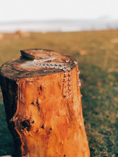 Kostenloses Stock Foto zu halskette, holzstamm, nahansicht