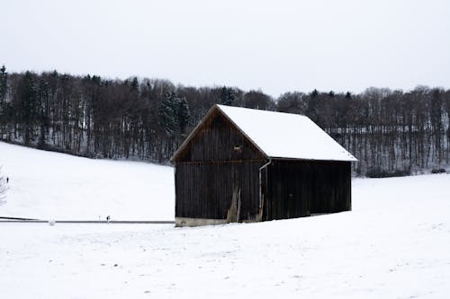 Ilmainen kuvapankkikuva tunnisteilla kylmä sää, lato, lumi peitetty maa