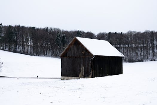 A solitary barn stands amidst a snowy field in Bad Urach, Germany.
