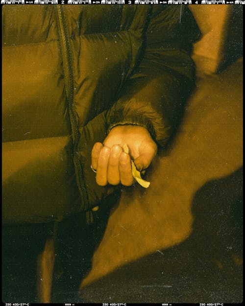 Free stock photo of at night, camera flash, cigarro