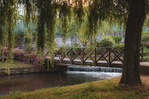 Picturesque footbridge surrounded by lush greenery and flowing stream in Milheirós de Poiares, Portugal.