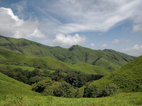 Immagine gratuita di ambiente, fotografia della natura, karnataka