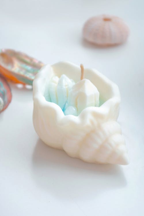 Free White Seashell with Candle in Close Up Photography Stock Photo