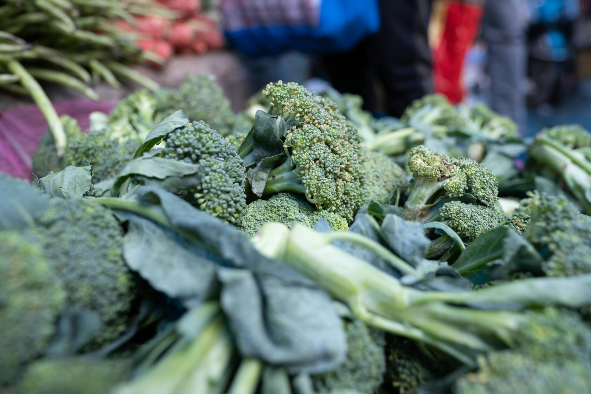 Close-up of vibrant green broccoli displayed at a bustling outdoor market. Close-up of vibrant green broccoli displayed at a bustling outdoor market.