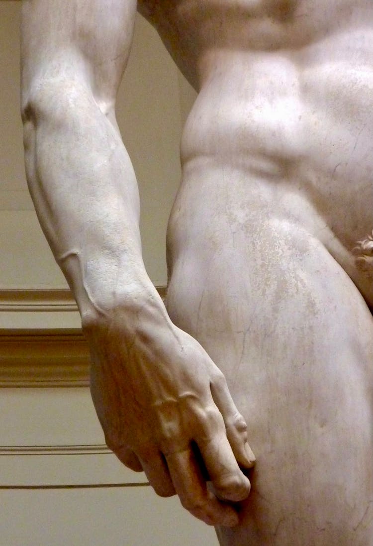 David Of Michelangelo Hand