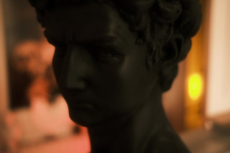 Close Up Of Black Bust