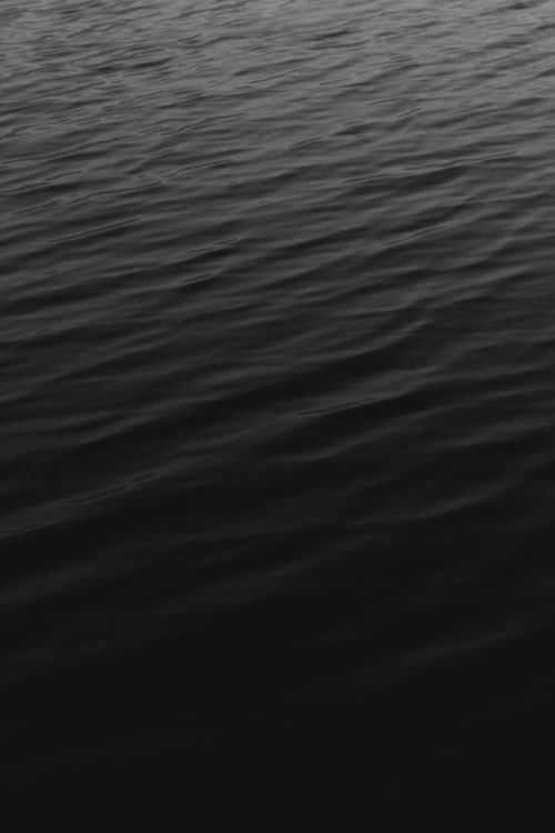 Free Peaceful monochrome water ripples creating a serene texture. Stock Photo