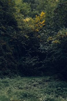 Image by Özgür Beşli
