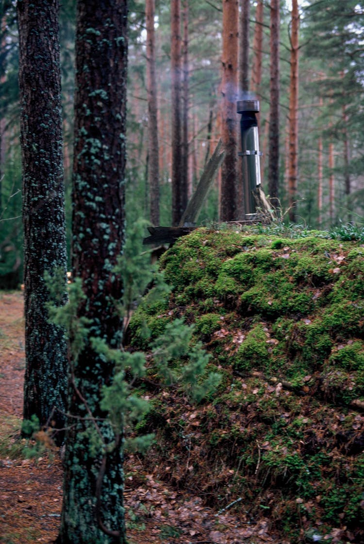 Smoking Chimney In Forest