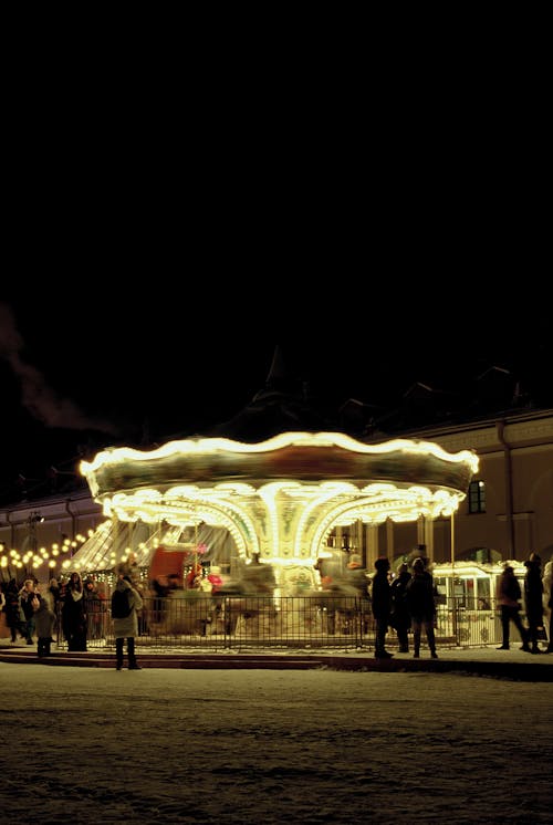 People Standing Near Carousel during Night Time
