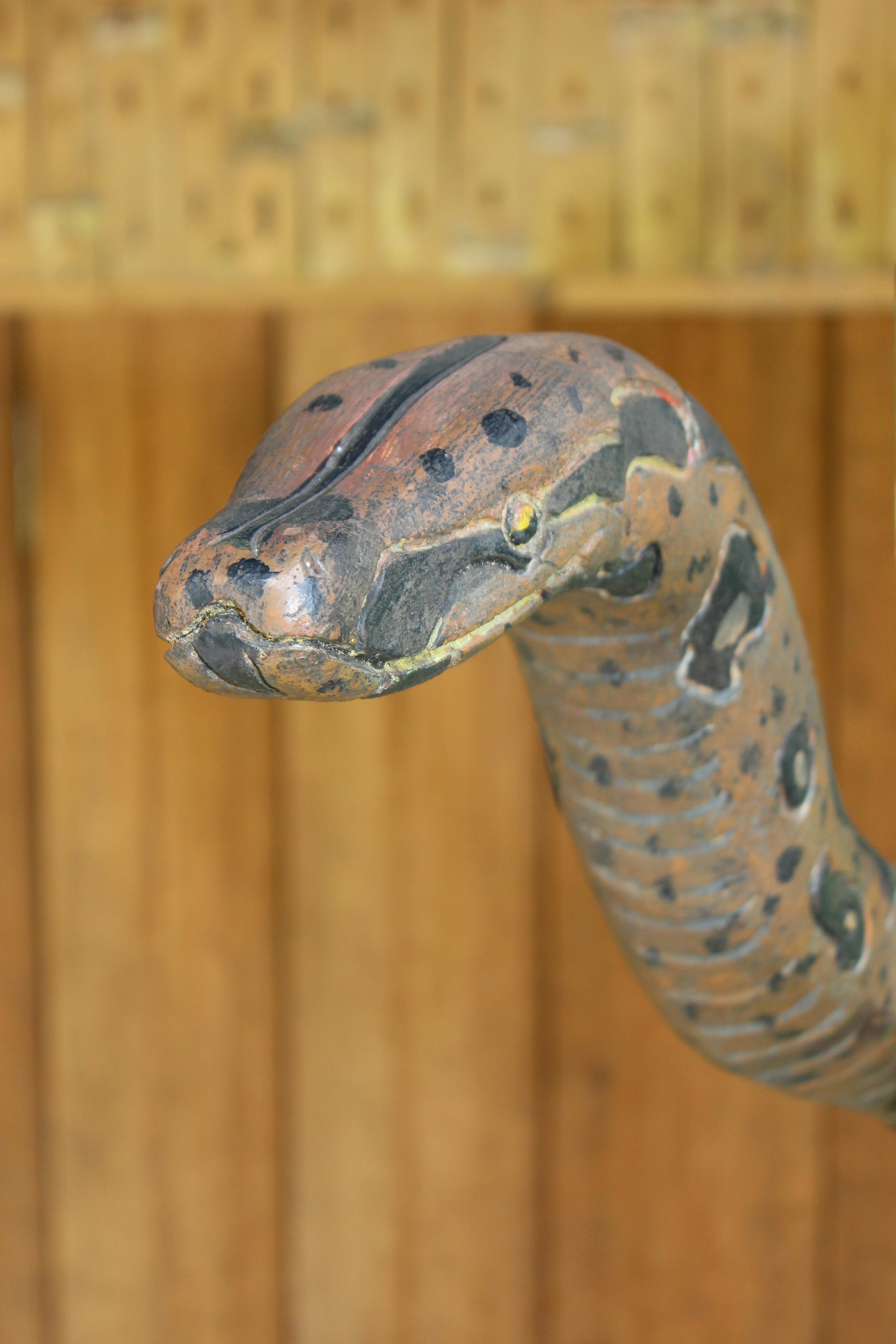 anaconda-habitat