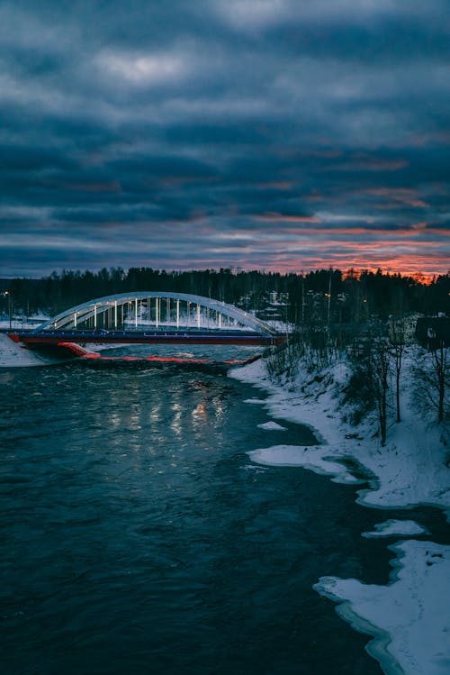 Foto profissional grátis de árvores, céu, coberto de neve