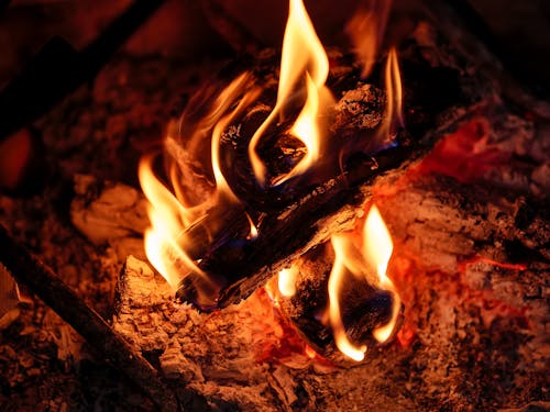 Gratis arkivbilde med blusse, brann, brann skog Arkivbilde