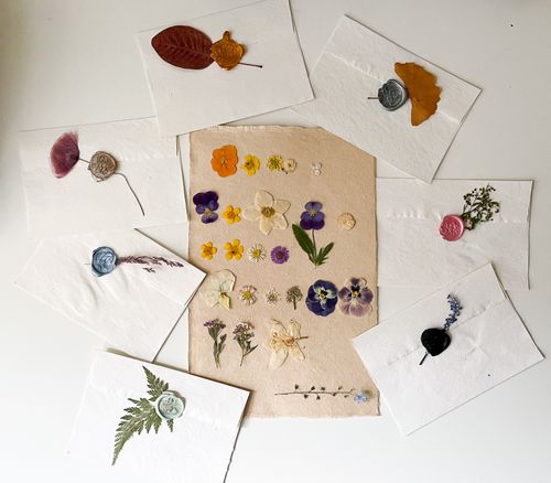 Free Delicate pressed flowers and leaves displayed on white paper, perfect for decorative crafts. Stock Photo
