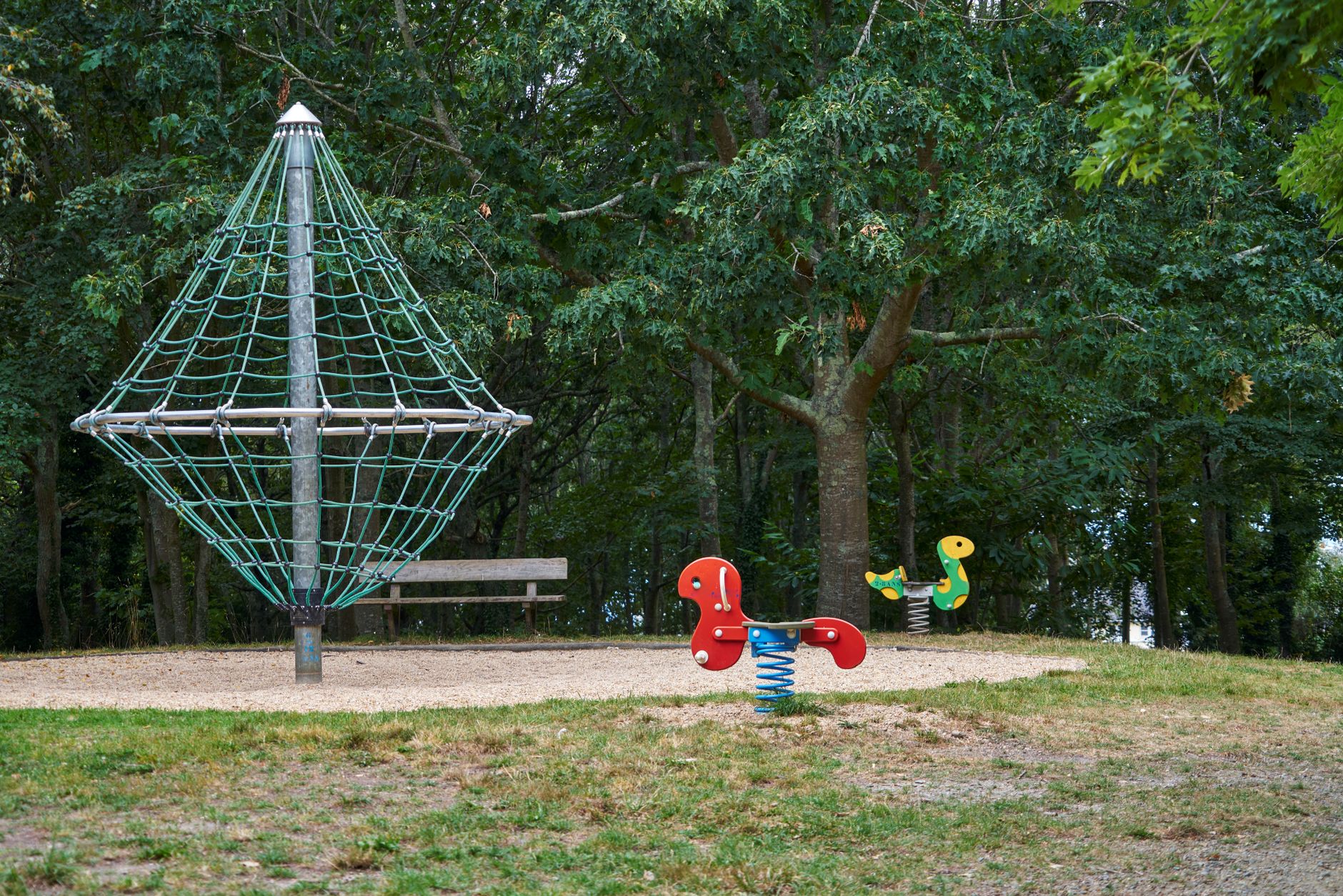 Jungle des tout-petits