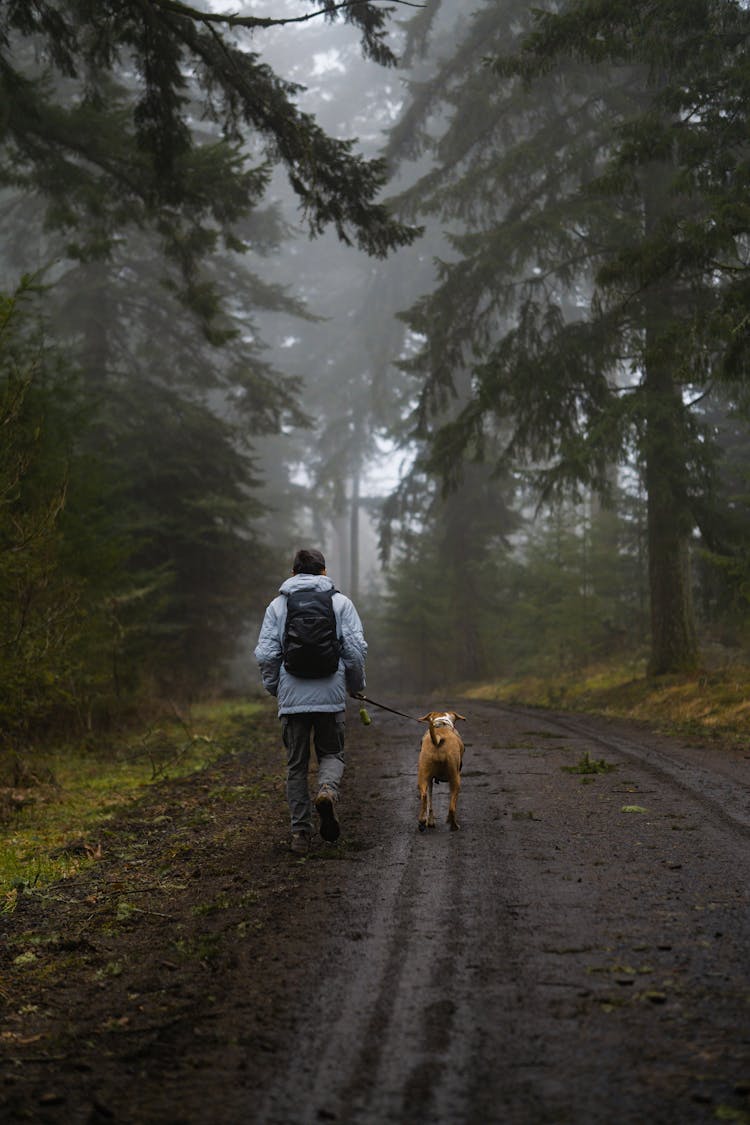 Person And A Dog Walking On Dirt Road