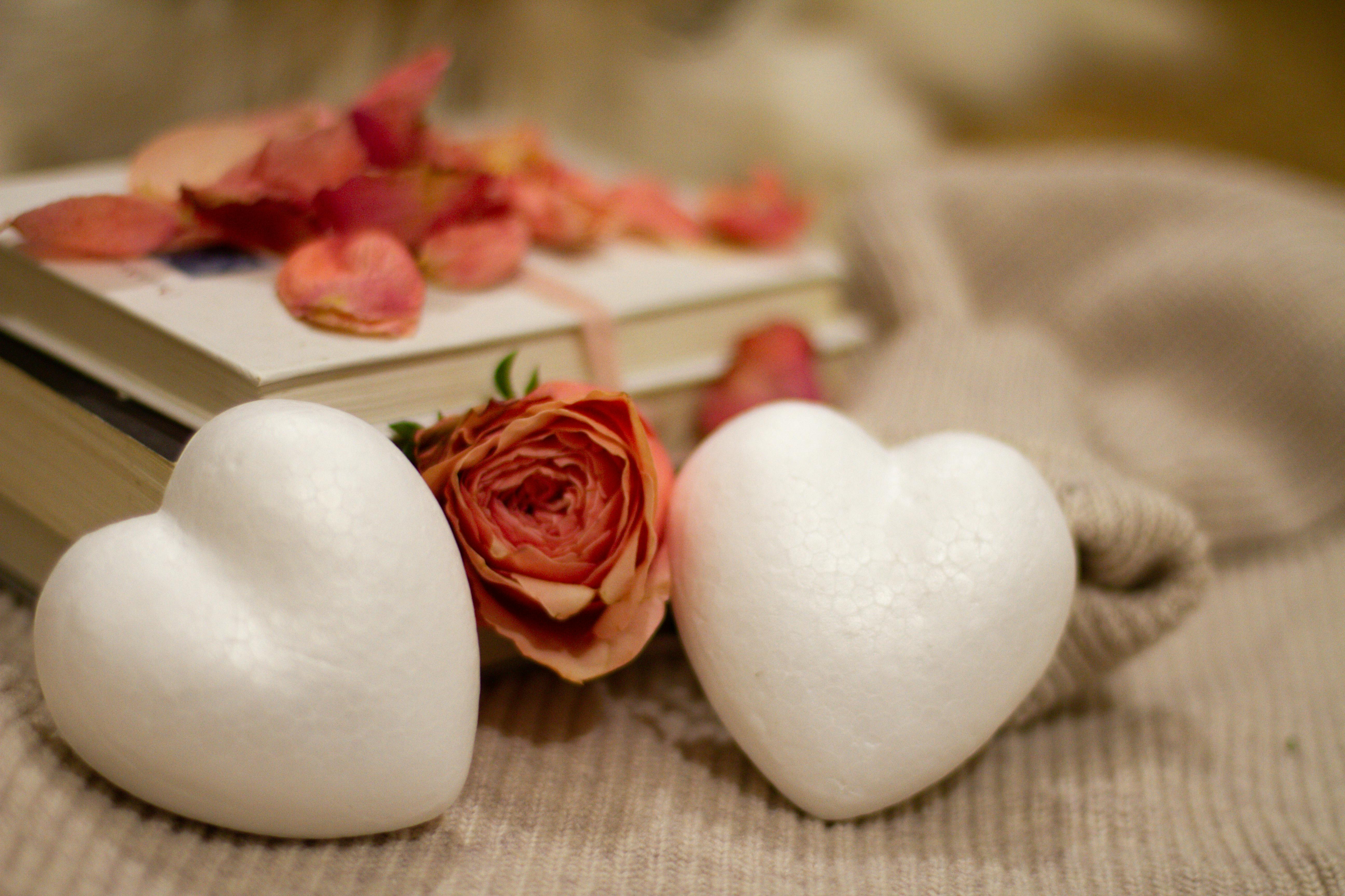 Will the Styrofoam decompose in 500 years?