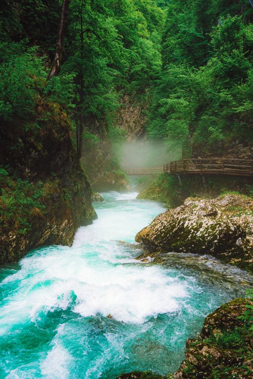 Free Captivating view of a vibrant river with mossy rocks and a wooden bridge in a lush forest. Stock Photo