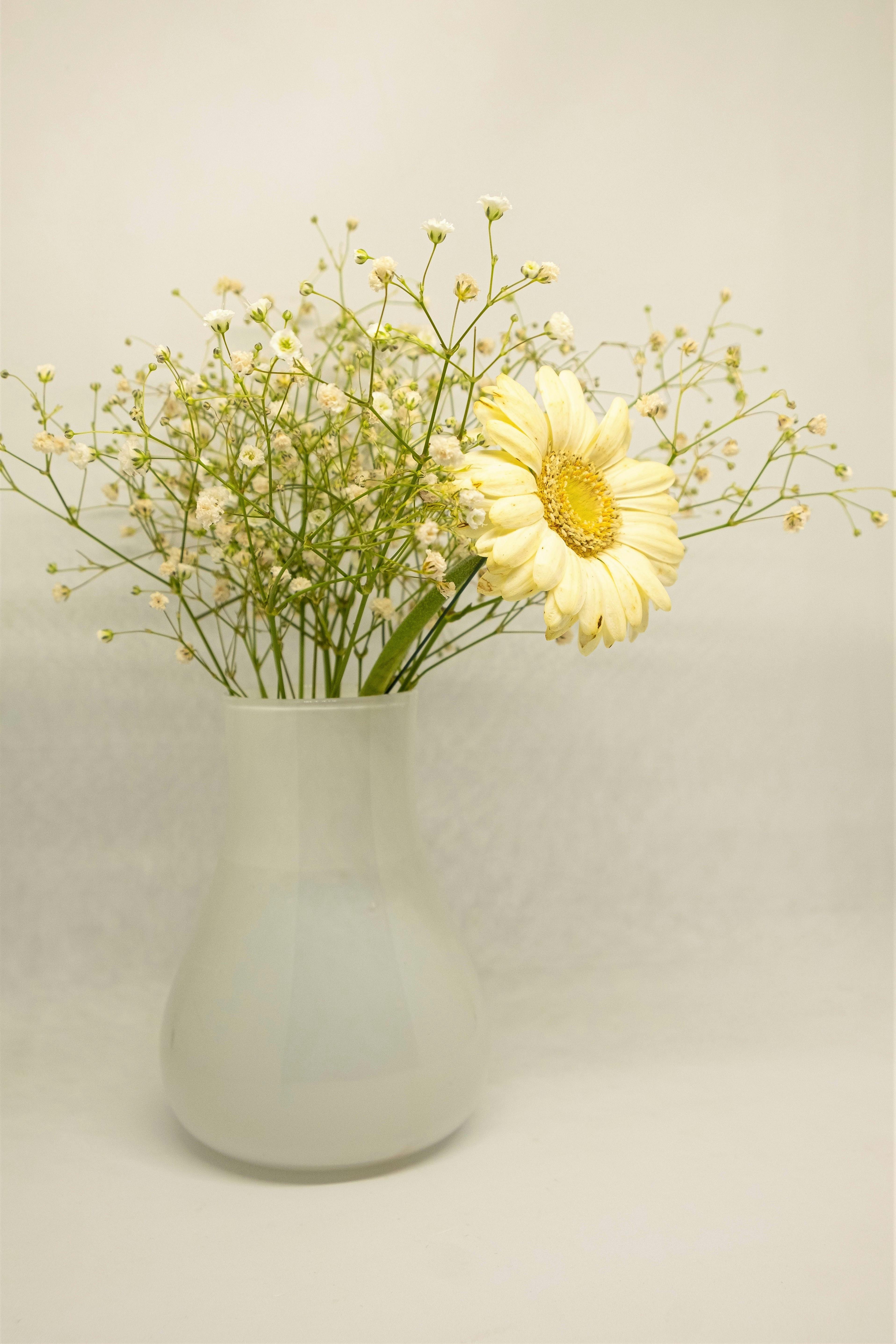 White and Yellow Flower in White Ceramic Vase · Free Stock Photo