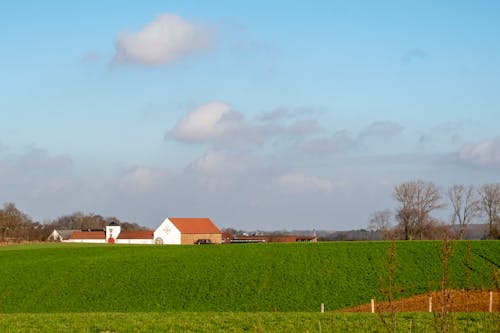 Gratis stockfoto met boerderij, boerenwoning, idyllisch
