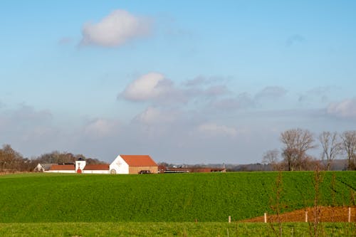 Immagine gratuita di agriturismo, azienda agricola, campo