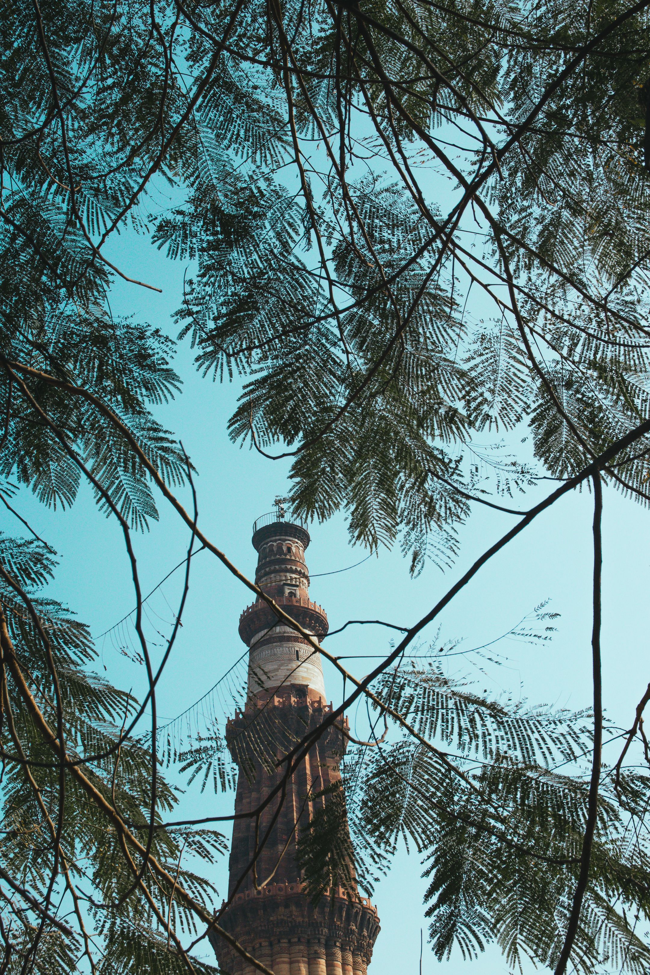 Tall Qutub Minar tower in New Delhi framed by delicate tree branches on a clear blue sky day.