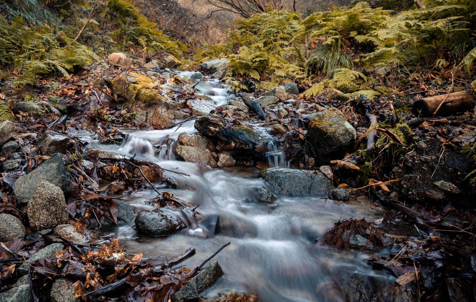 How to build a dry creek bed for heavy storm runoff — cover media