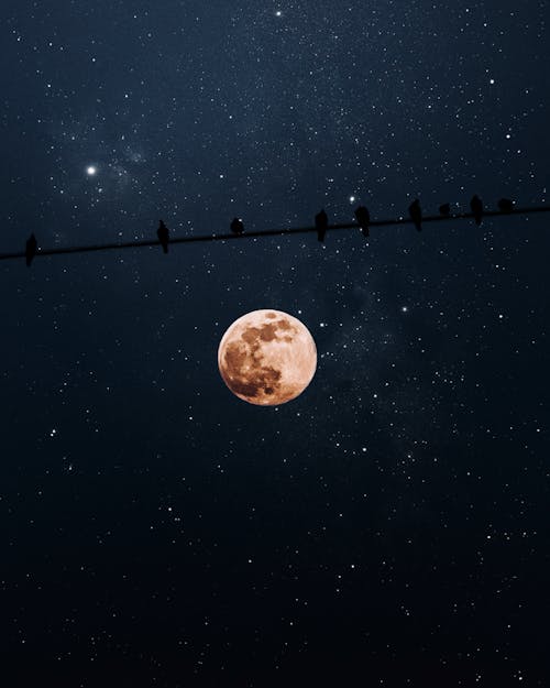 ブラッド・ムーン, 不機嫌そうな空, 夜にの無料の写真素材