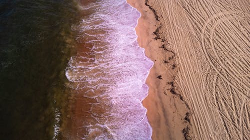 คลังภาพถ่ายฟรี ของ ชายทะเล, ชายหาด, น้ำ