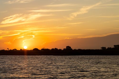 Free Beautiful golden hour sunset over the ocean with silhouetted trees on the horizon. Stock Photo