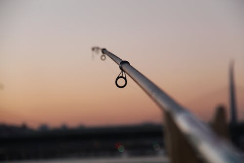 Rings on Fishing Rod at Sunset