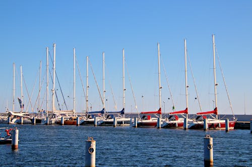 Immagine gratuita di barche a vela, chiaro cielo blu, mare