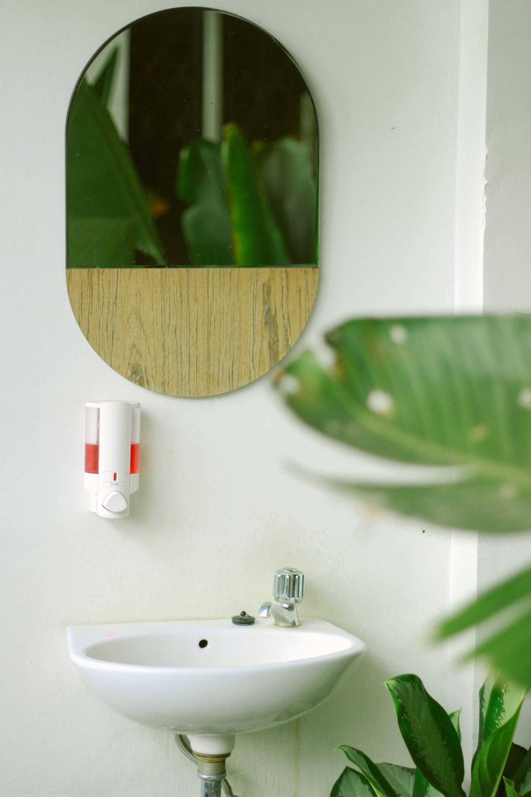 Light bathroom with mirror, sink and a restrained arrangement of green plants