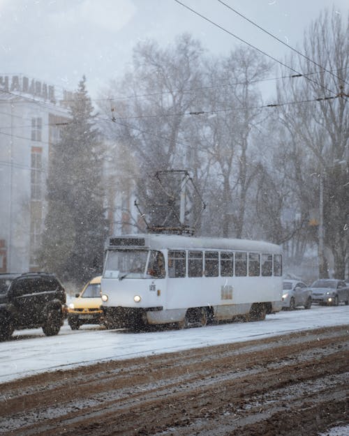 감기, 겨울, 기관차의 무료 스톡 사진