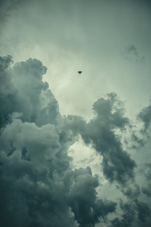 Fotos de stock gratuitas de avión, cielo, desde abajo