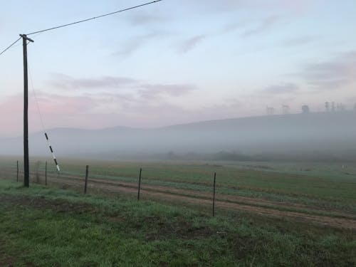 Free stock photo of fields, foggy, green field