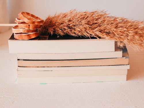 Pampas Grass on Top of the Stack of Books 