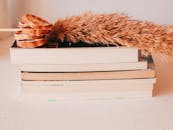 Pampas Grass on Top of the Stack of Books