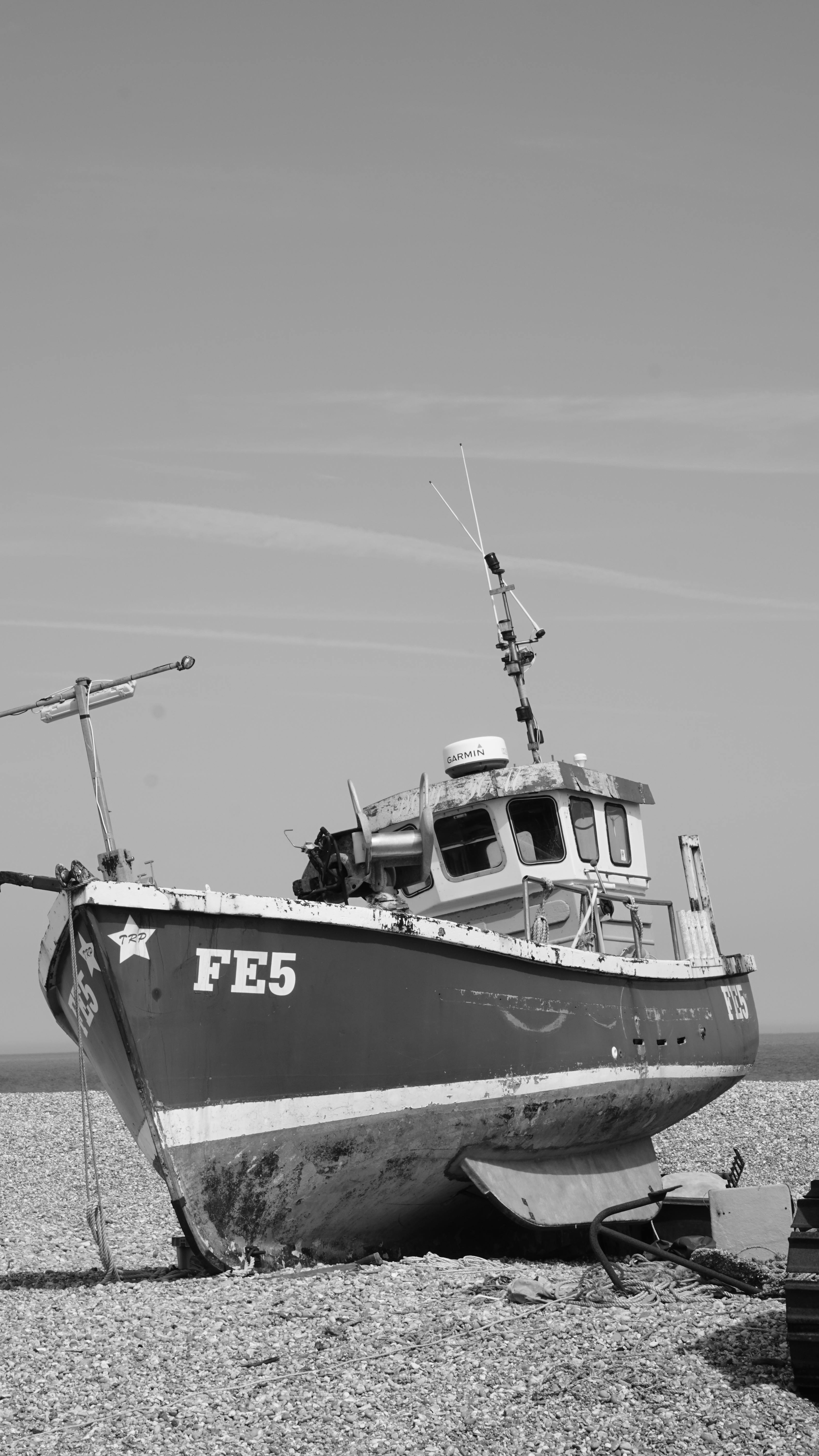 Free stock photo of fish, sea, ship
