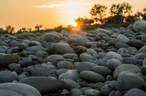 Gratis arkivbilde med fotografi, kveldssol, landskap