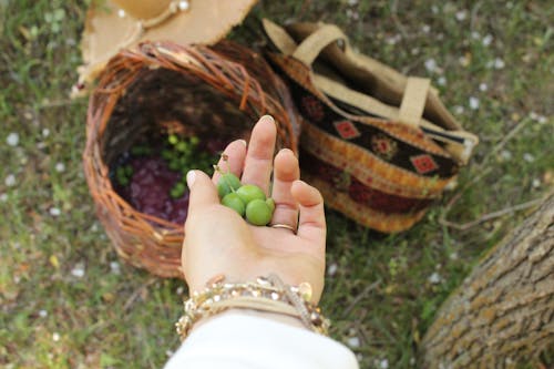 Fruit on Woman Hand