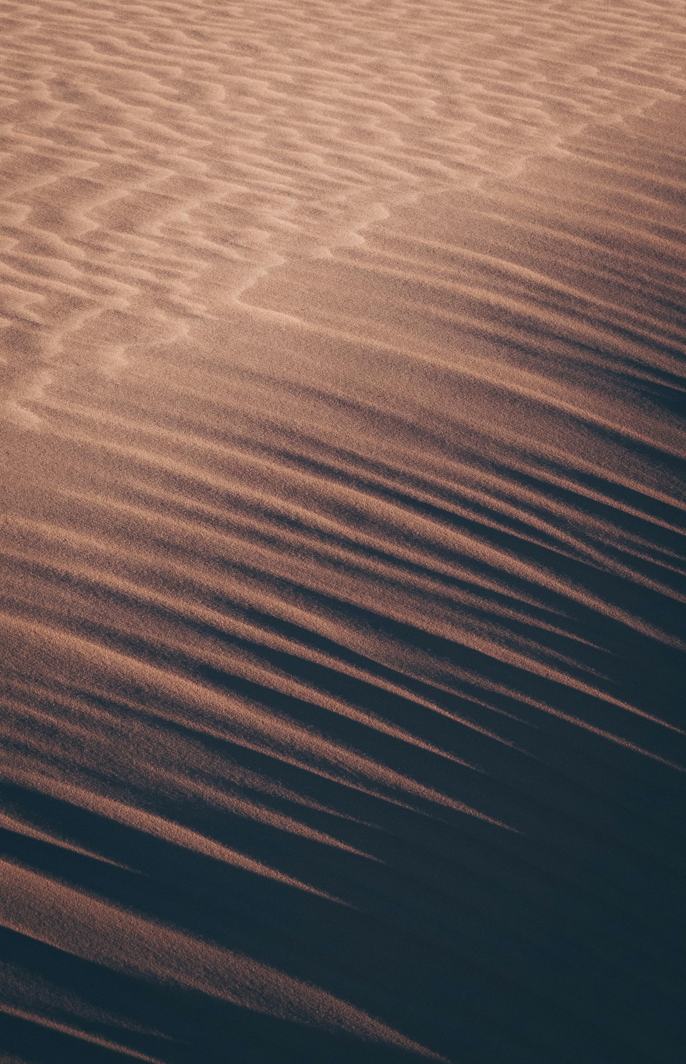 Captivating twilight view of textured sand dunes casting long shadows, creating a serene desert landscape.