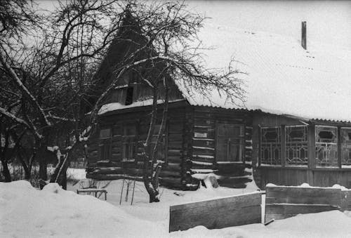 Grayscale Photo of Bare Trees Near House on Snow Covered Ground