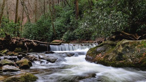 Free Serene waterfall and stream flowing through lush forest in Blue Ridge, Georgia. Stock Photo