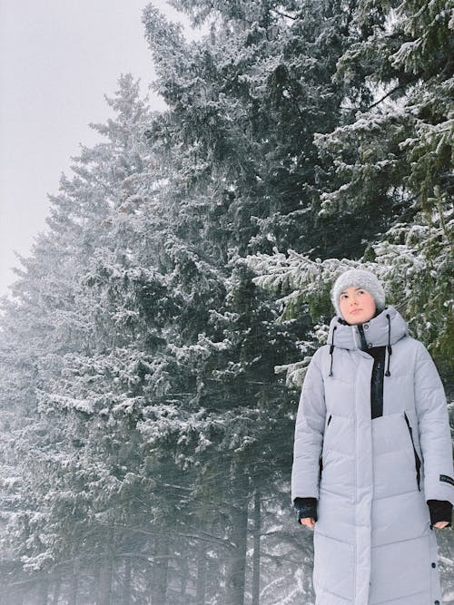 Free A Woman in Gray Winter Jacket Standing on Snow Covered Ground Near Green Trees Stock Photo
