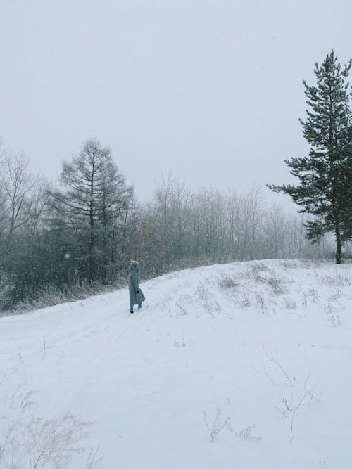 Person in Gray Coat Walking on Snow Covered Ground 