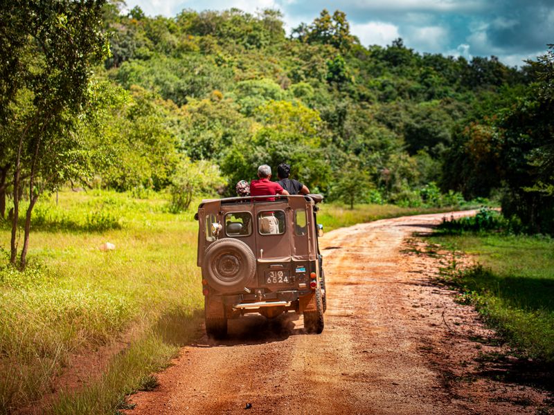 Family Jungle Adventure safari package for kids and parents near Nagpur