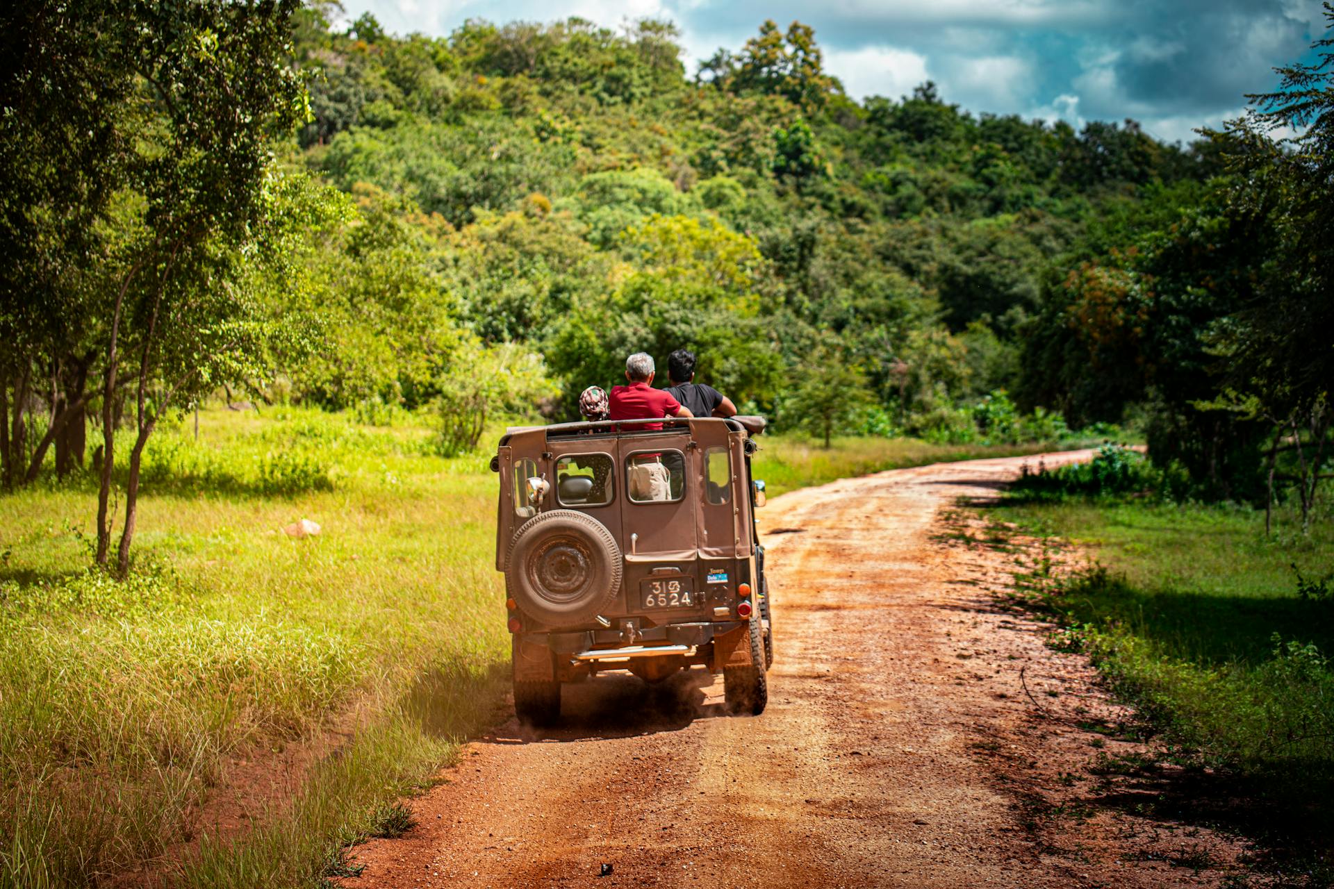 Jeep driving on a scenic dirt road surrounded by green forest, exuding a sense of adventure and exploration.