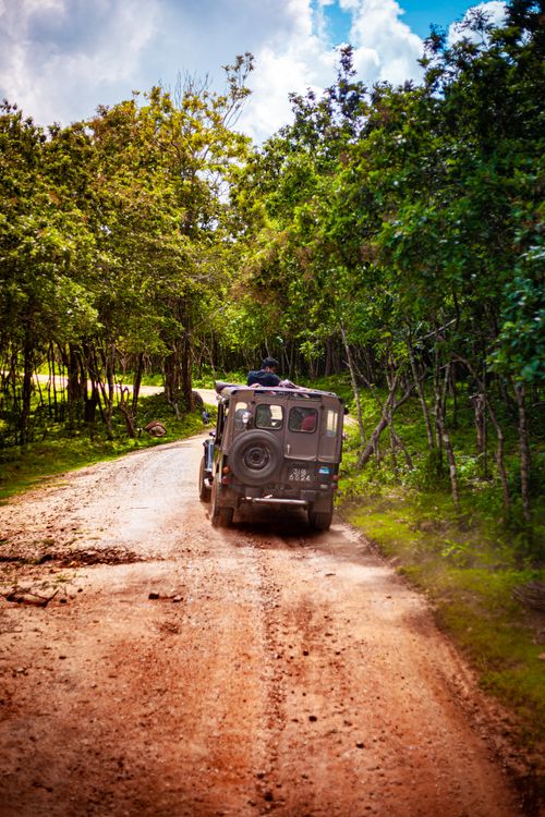 Free Explore the wilderness in a rugged SUV driving through a scenic forest trail. Stock Photo