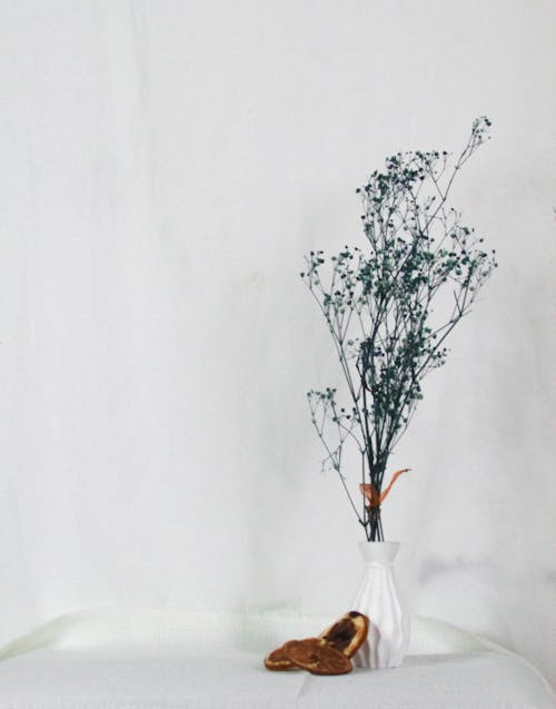 Dried Flowers in White Ceramic Vase